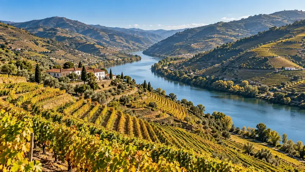 Paisagem do Douro nas Terras de Trás-os-Montes